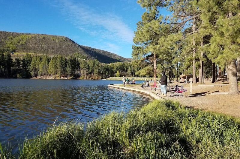This New Mexico Campground Hides a Spring-Fed Swimming Hole Under Cottonwood Shade