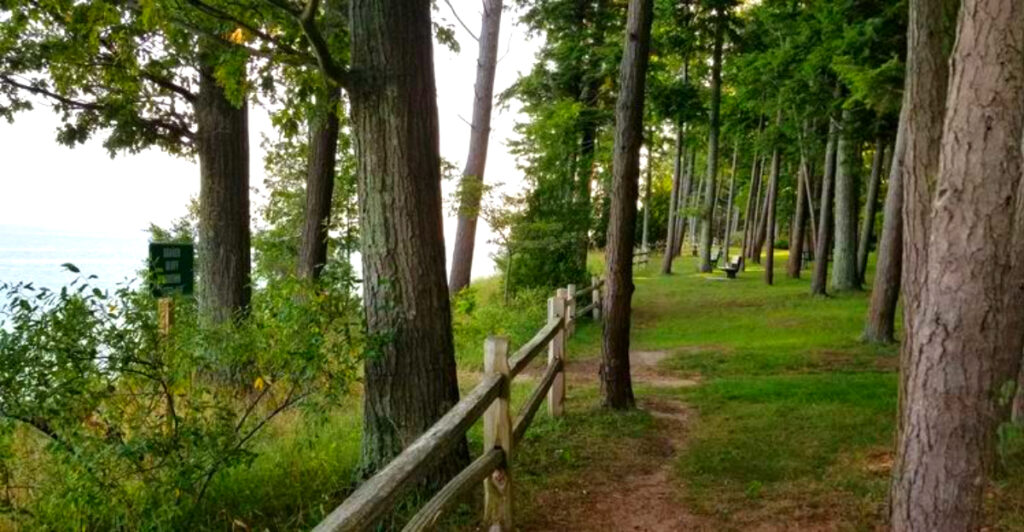 This Quiet Nature Area Features Scenic Trails That Lead Straight to Lake Michigan Beaches