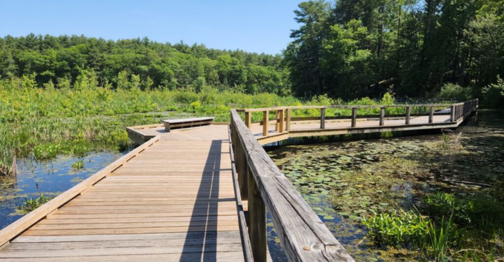 11 Peaceful Massachusetts Nature Walks That Reward You With Big Beauty and Barely Any Effort