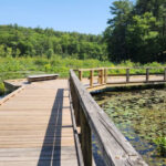 11 Peaceful Massachusetts Nature Walks That Reward You With Big Beauty and Barely Any Effort