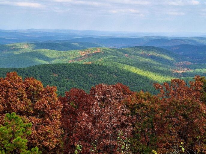9 Oklahoma Scenic Drives That Explode With Fall Color Before the Leaves Drop
