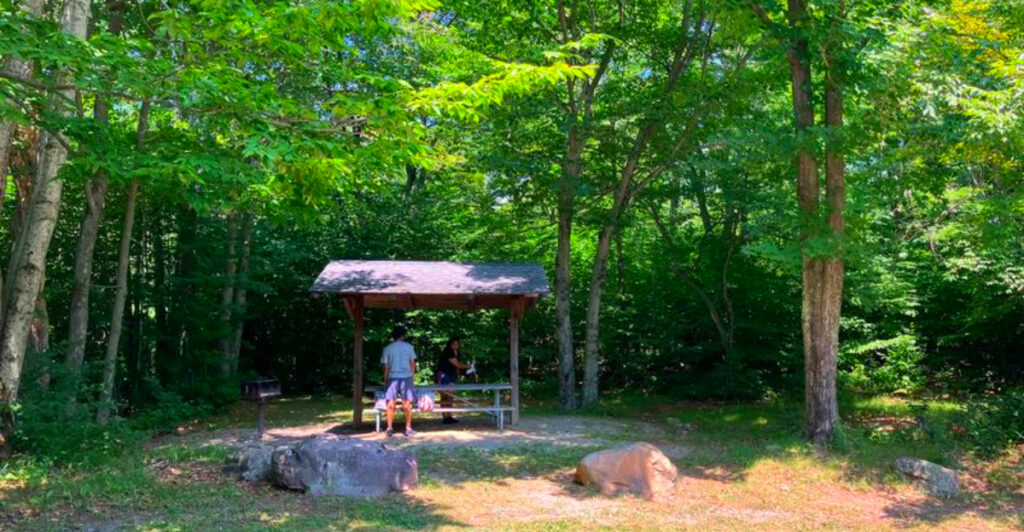 This 5,440-Acre Pennsylvania Park Is the Peaceful Pocono Escape Most Travelers Drive Right Past