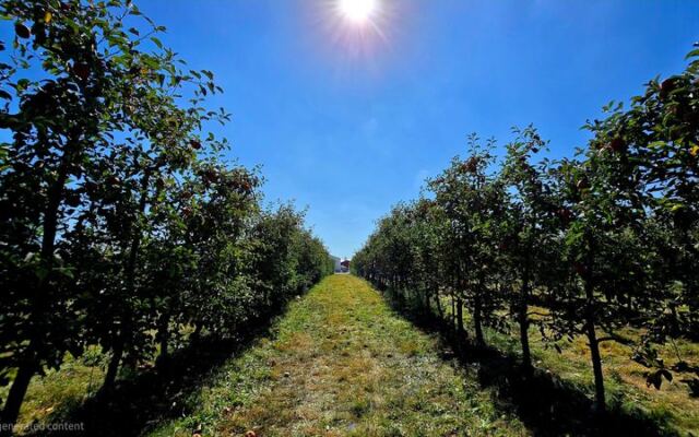 9 Ohio Apple Orchards Where You Pick Your Own And Leave With Warm Cider Donuts