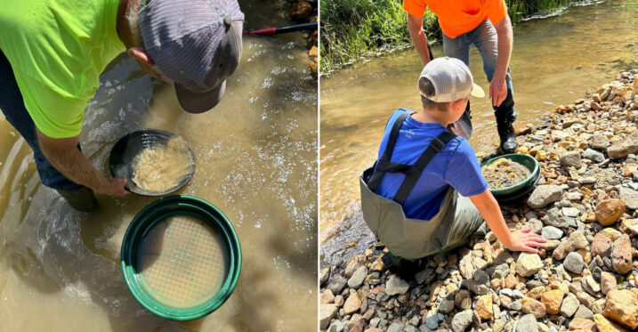 This Tennessee Forest Lets You Pan for Real Gold in Creeks Miners Worked Since 1827
