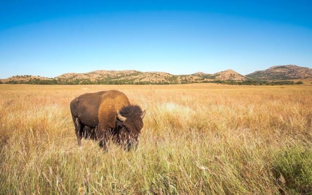 This Vast Oklahoma Wildlife Refuge Hides Free-Roaming Bison, Ancient Granite Mountains, and Jaw-Dropping Views