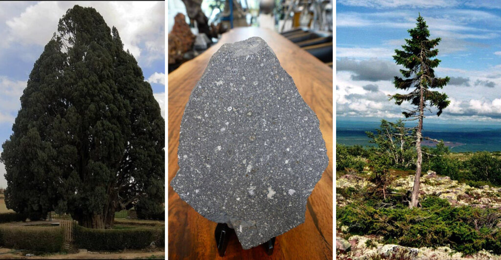 20 of the Oldest Things on Earth