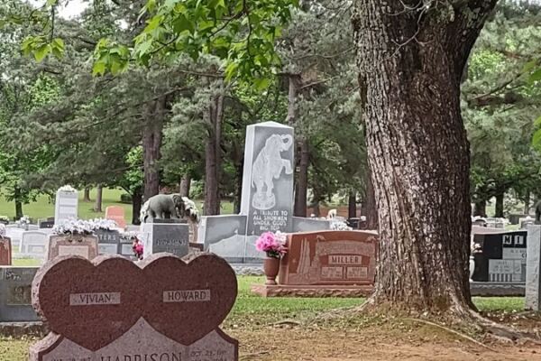 Granite Circus Elephants and Rodeo Legends Share This Quiet Oklahoma Graveyard in Hugo