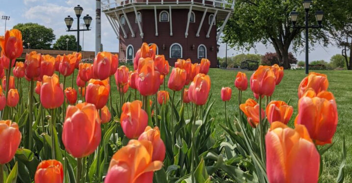 This Iowa Town Looks Like A Little Piece Of The Netherlands