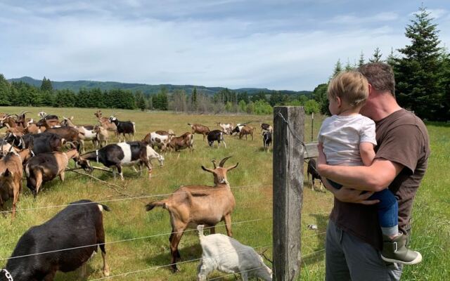 This Oregon Goat Farm Lets You Bottle-Feed Baby Goats And Taste Homemade Goat Milk Ice Cream