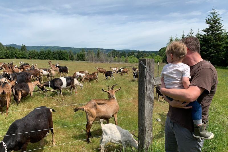 This Oregon Goat Farm Lets You Bottle-Feed Baby Goats And Taste Homemade Goat Milk Ice Cream