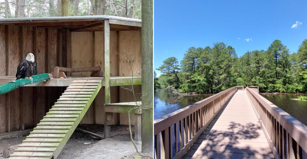 This New Jersey Wildlife Refuge Heals Wild Animals And Lets You Walk Its Trails