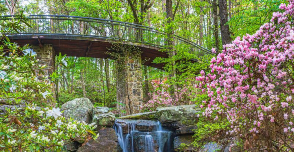 10 Most Beautiful Botanical Gardens in the U.S., According to Visitors