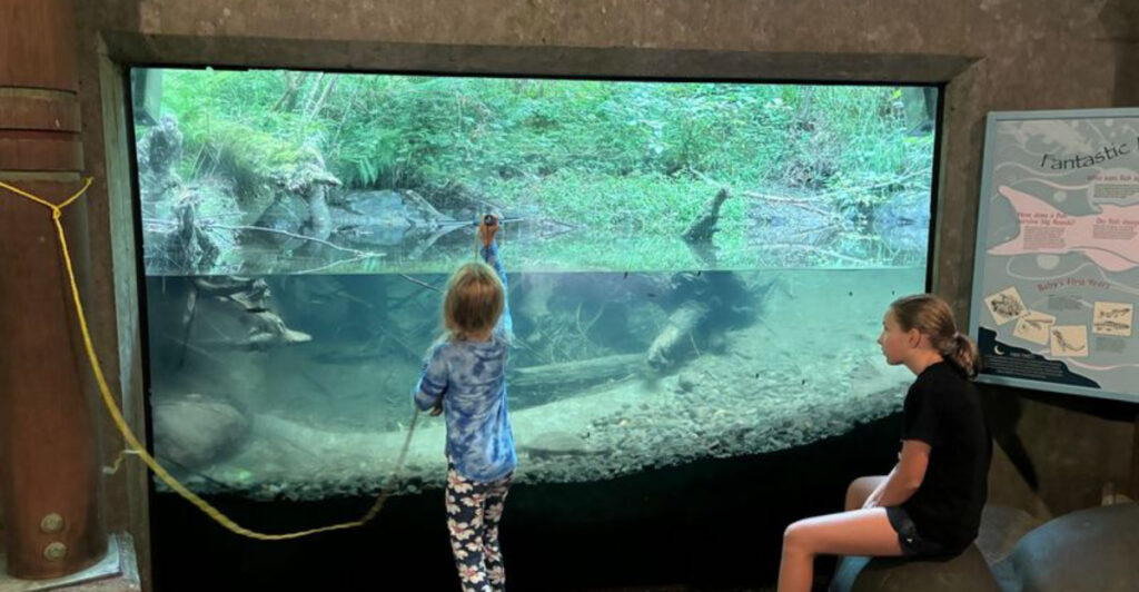 This Oregon Forest Park Lets You Watch Wild Fish From an Underwater Chamber