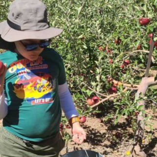 This Family-Run New Mexico Fruit Stand Draws Food Lovers For Pick-Your-Own Apples, Sweet Cherries, And Local Honey