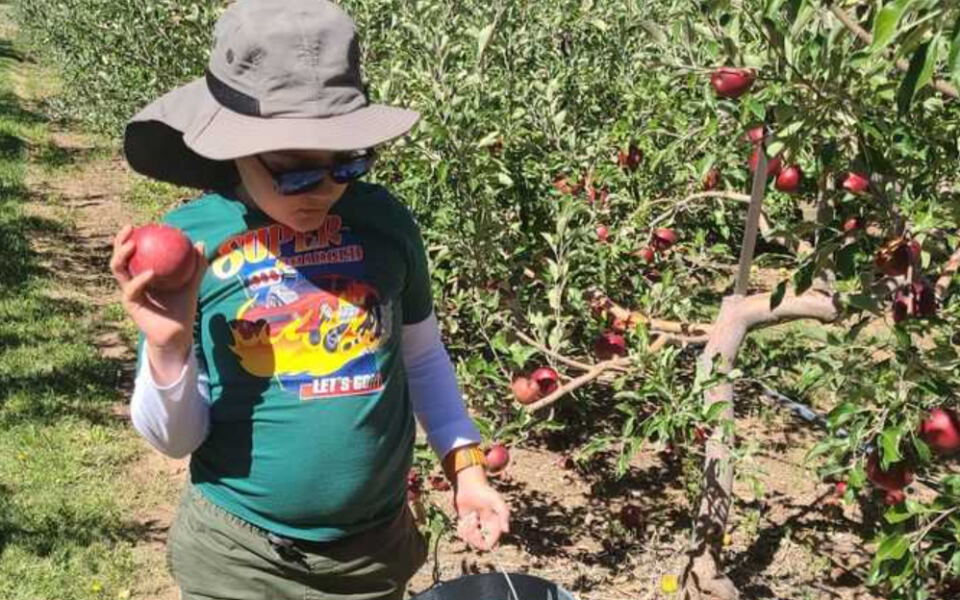 This Family-Run New Mexico Fruit Stand Draws Food Lovers For Pick-Your-Own Apples, Sweet Cherries, And Local Honey