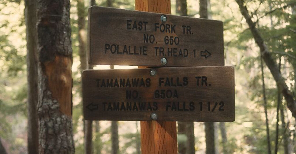 This Easy Oregon Hike Delivers Incredible Views in Just 1.5 Miles