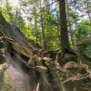 13 Massachusetts Trails Everyone Should Walk at Least Once Before This Year Ends