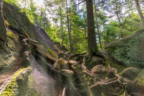 13 Massachusetts Trails Everyone Should Walk at Least Once Before This Year Ends