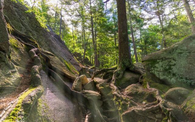 13 Massachusetts Trails Everyone Should Walk at Least Once Before This Year Ends