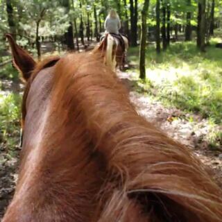 This Broken Bow Stable Puts Nervous First-Timers On Gentle Horses For A Wooded Oklahoma Trail Ride