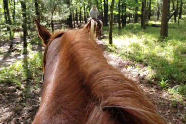 This Broken Bow Stable Puts Nervous First-Timers On Gentle Horses For A Wooded Oklahoma Trail Ride