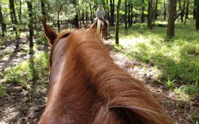 This Broken Bow Stable Puts Nervous First-Timers On Gentle Horses For A Wooded Oklahoma Trail Ride