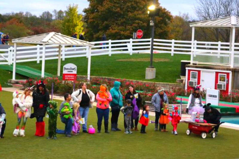 This Family-Friendly Missouri Attraction Offers Animal Exhibits, Demonstrations, and Farm Fun