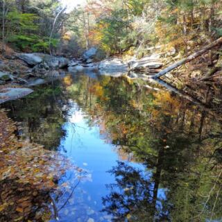 This Tucked-Away Gorge In Western Massachusetts Hides Deep, Cold Swimming Pools Locals Slip Away To