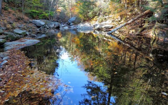 This Tucked-Away Gorge In Western Massachusetts Hides Deep, Cold Swimming Pools Locals Slip Away To