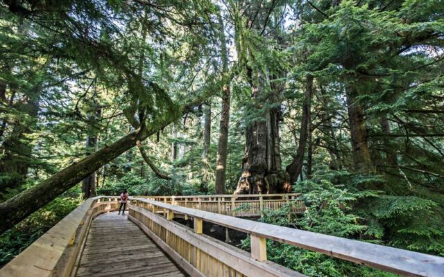 This Flat 1-Mile Oregon Boardwalk Winds Through Old-Growth Forest And Is One Of The State’s Most Relaxing Walks
