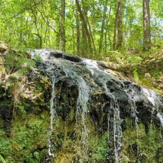 A Simple One-Mile Trail in Florida Leads Straight to the State’s Tallest Waterfall