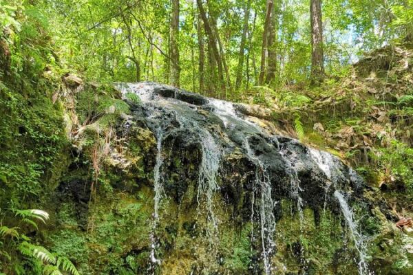 A Simple One-Mile Trail in Florida Leads Straight to the State’s Tallest Waterfall