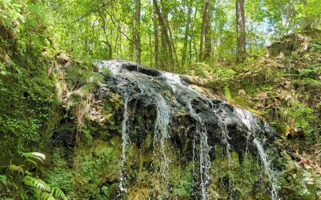 A Simple One-Mile Trail in Florida Leads Straight to the State’s Tallest Waterfall