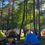 13 Incredible Stops Along Arkansas’ Buffalo National River