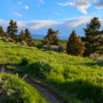 This Montana Park Nearly Became 600 Homes Before the Community Saved It