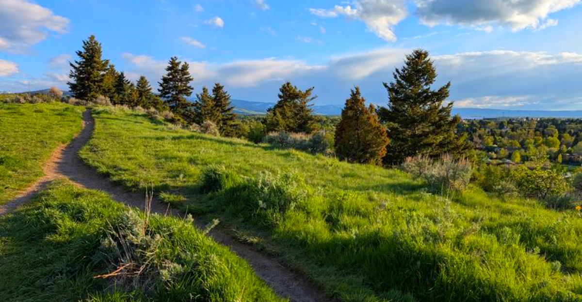 This Montana Park Nearly Became 600 Homes Before the Community Saved It