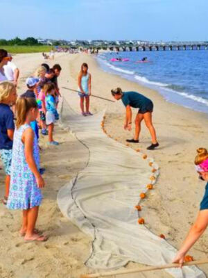 This Lewes, Delaware, Nature Center Lets Visitors Explore Coastal Wildlife Just Steps From the Beach