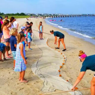 This Lewes, Delaware, Nature Center Lets Visitors Explore Coastal Wildlife Just Steps From the Beach