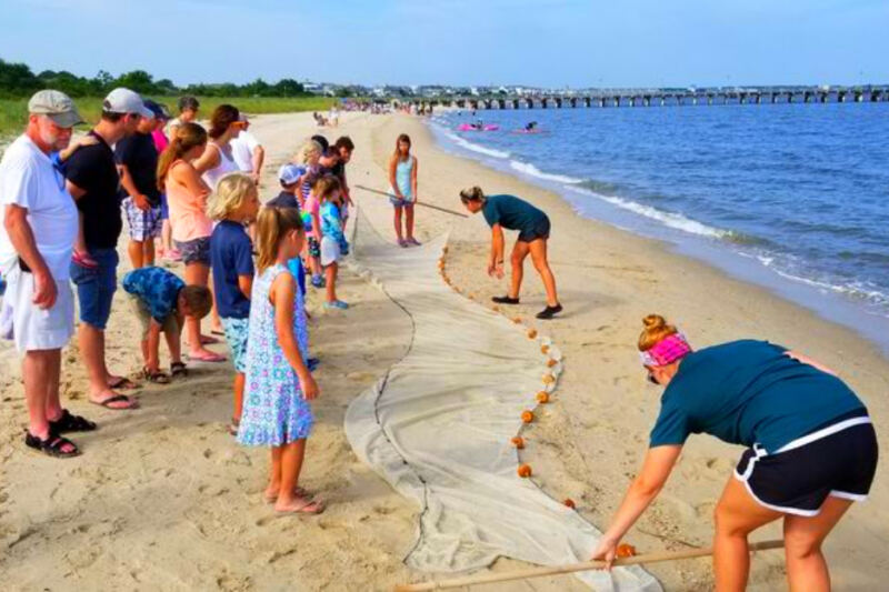 This Lewes, Delaware, Nature Center Lets Visitors Explore Coastal Wildlife Just Steps From the Beach