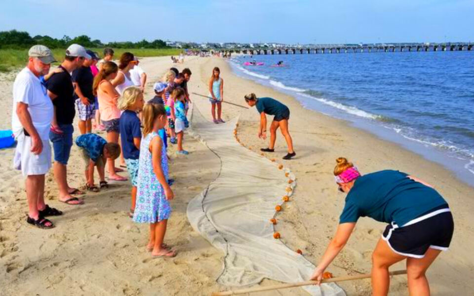 This Lewes, Delaware, Nature Center Lets Visitors Explore Coastal Wildlife Just Steps From the Beach