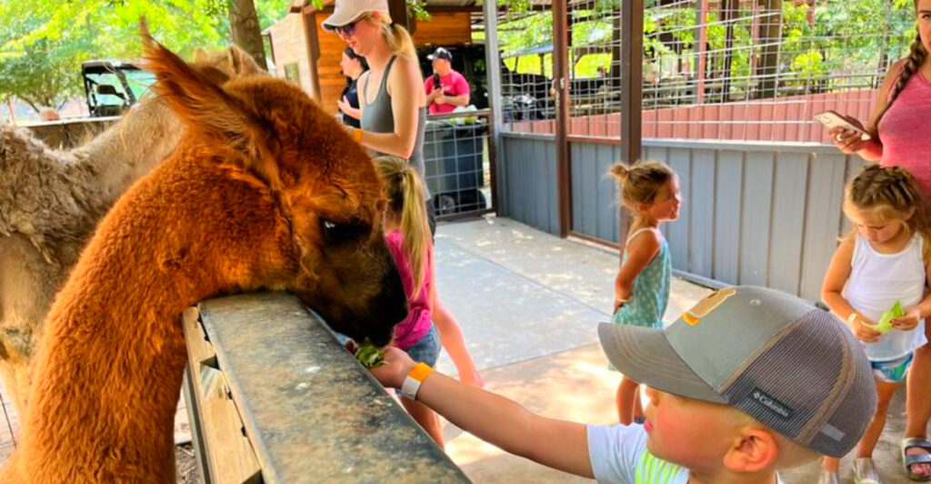 This Kansas Zoo Has Guided Tours, VIP Animal Encounters, and Over 100 Species