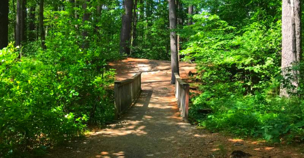 This Manchester Park Has Peaceful Pond Trails, Water Views, and One of the City’s Best Walks