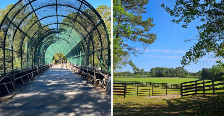An Abandoned Mississippi Railroad Is Now A Gorgeous 44-Mile Paved Trail