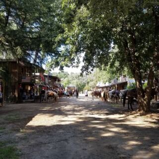 This Charming North Carolina Town Runs On Hoofbeats Because Cars Are Totally Banned