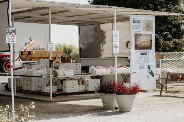 This Family-Run California Farm Stand Wins Over Food Lovers With Just-Picked Peaches And San Joaquin Valley Stone Fruit