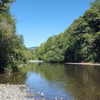 This Oregon River Hideaway Feels Like a Secret Beach in the Forest