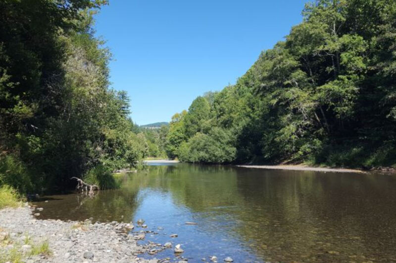 This Oregon River Hideaway Feels Like a Secret Beach in the Forest