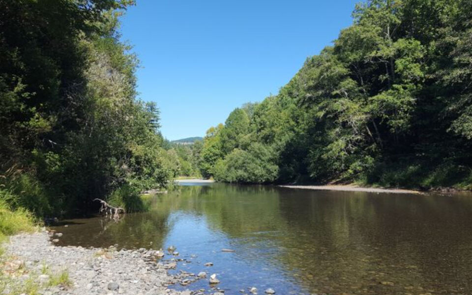This Oregon River Hideaway Feels Like a Secret Beach in the Forest
