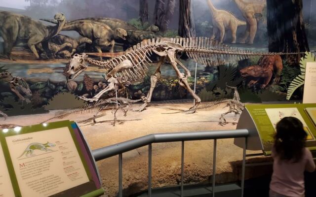These 10 Oklahoma Museums Are Free To Visit And Absolutely Worth The Drive