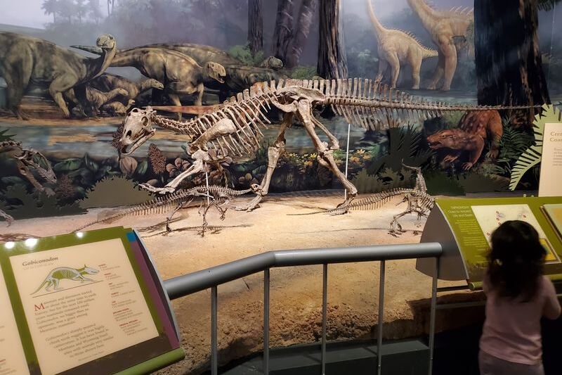 These 10 Oklahoma Museums Are Free To Visit And Absolutely Worth The Drive